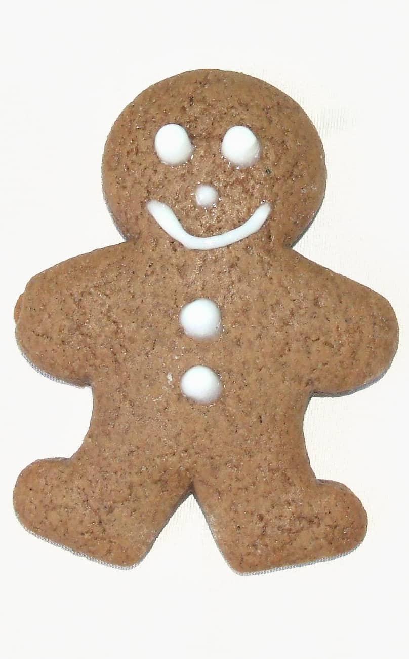 gingerbread man cookie