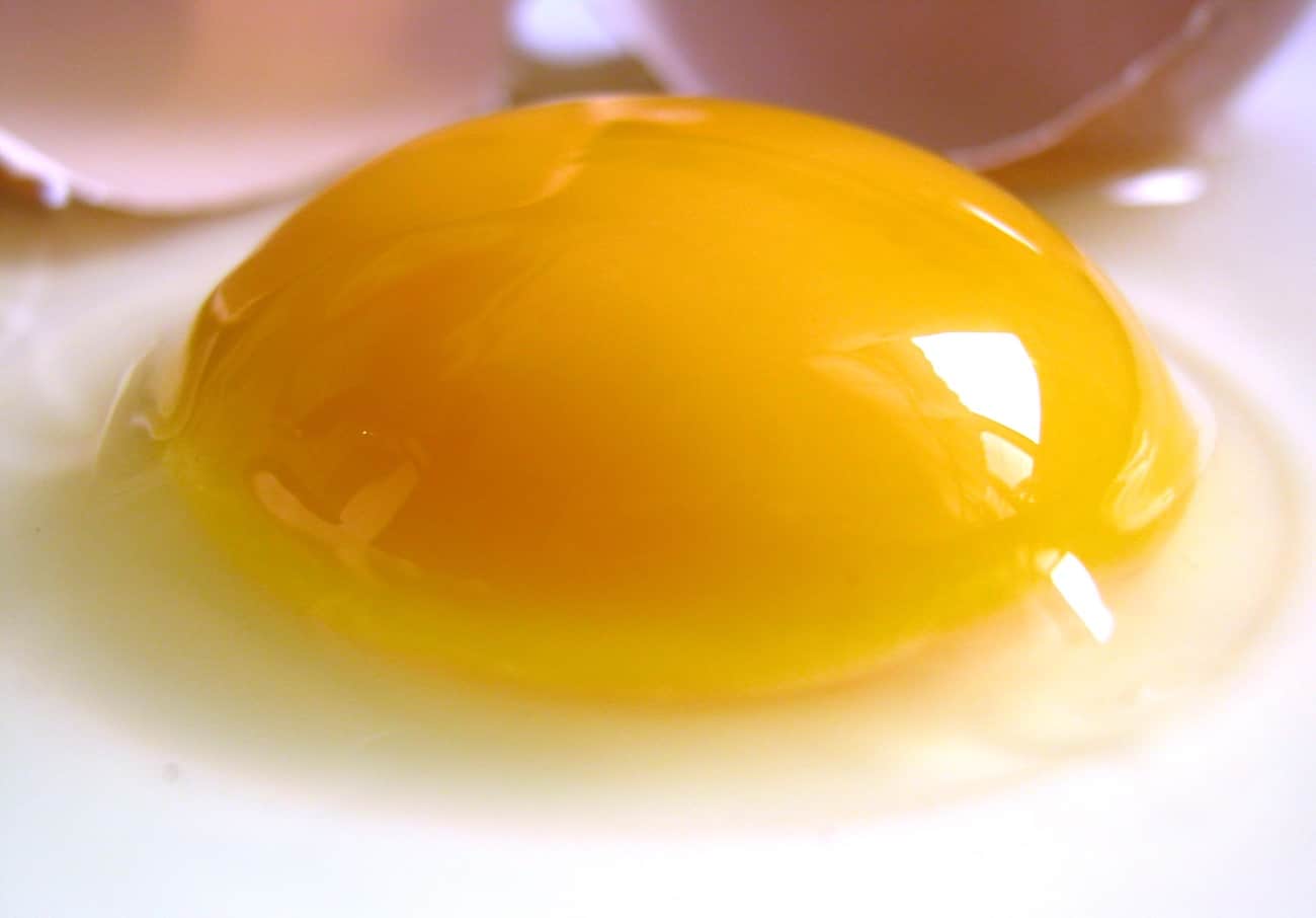raw egg with yellow yolk