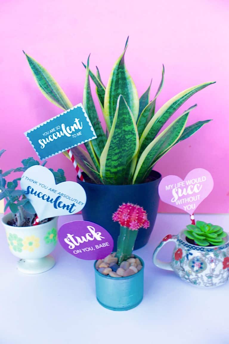 Free Valentine Printables Over 30 Free Printable Valentines For All Ages 2024 free-valentine-printables-over-30-free-printable-valentines-for-all-ages-2024