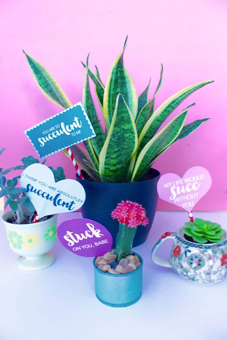 plants with valentines attached