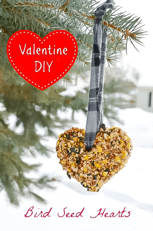 heart shaped bird feeder