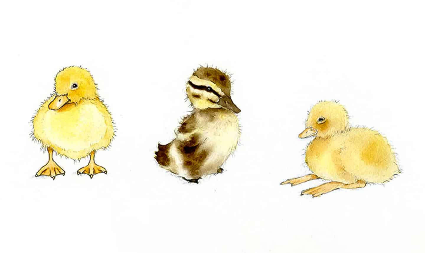 diy watercolor duckling tutorial