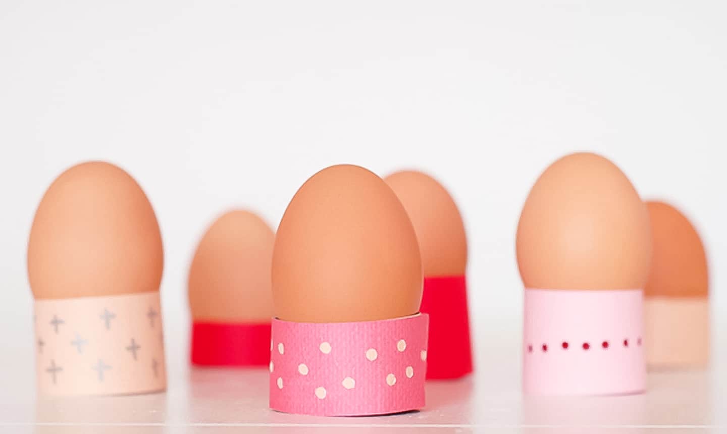 eggs in paper egg holders