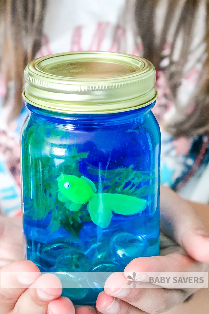 Mason jar aquarium 