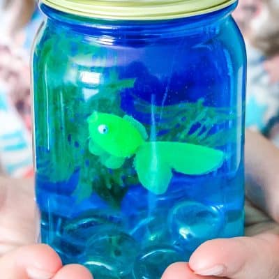 mason jar aquarium