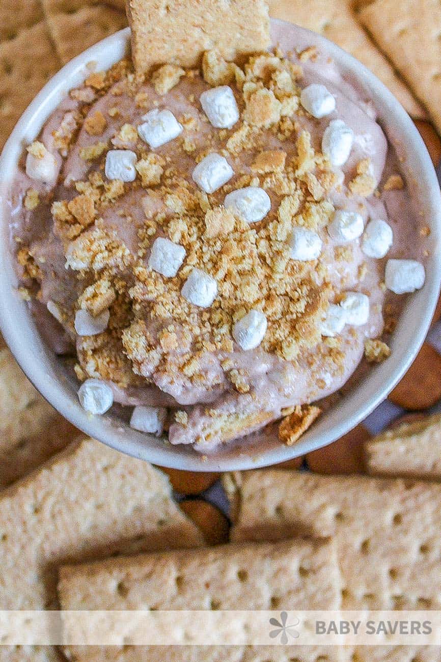 overhead view of chocolate ice cream in a bowl topped with marshmallows and graham crackers