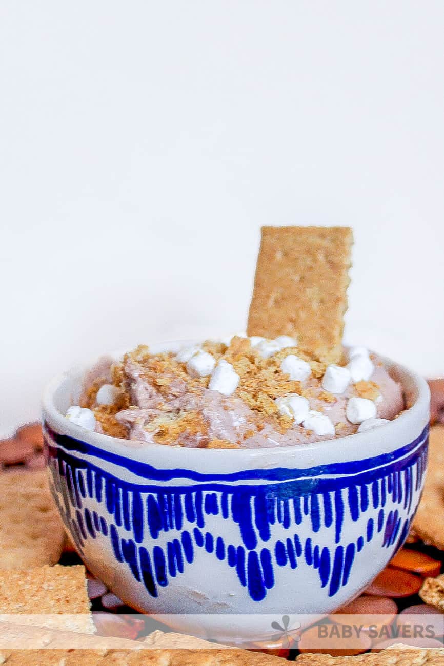 blue and white bowl with s' mores ice cream in it and surrounded by graham crackers.
