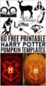 60 Free Harry Potter Pumpkin Stencils for an Amazing Halloween