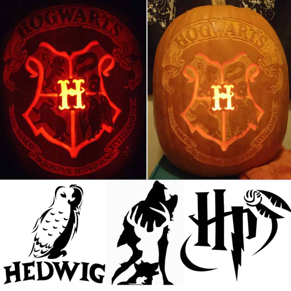 Harry Potter pumpkin stencils with the Hogwarts crest carved onto a pumpkin, plus Hedwig the owl, the Marauders and the Harry Potter logo with the golden snitch