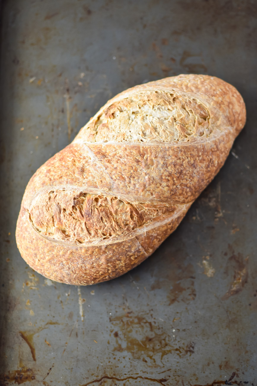 Wildgrain review: loaf of baked sourdough bread