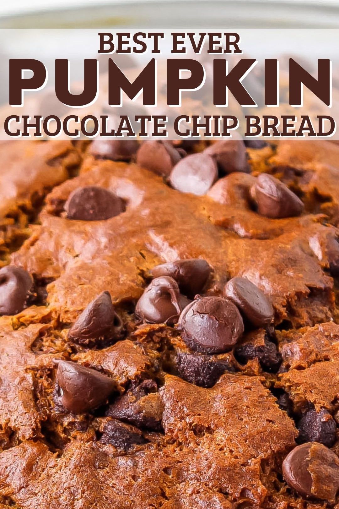 pumpkin chocolate chip bread fall recipe