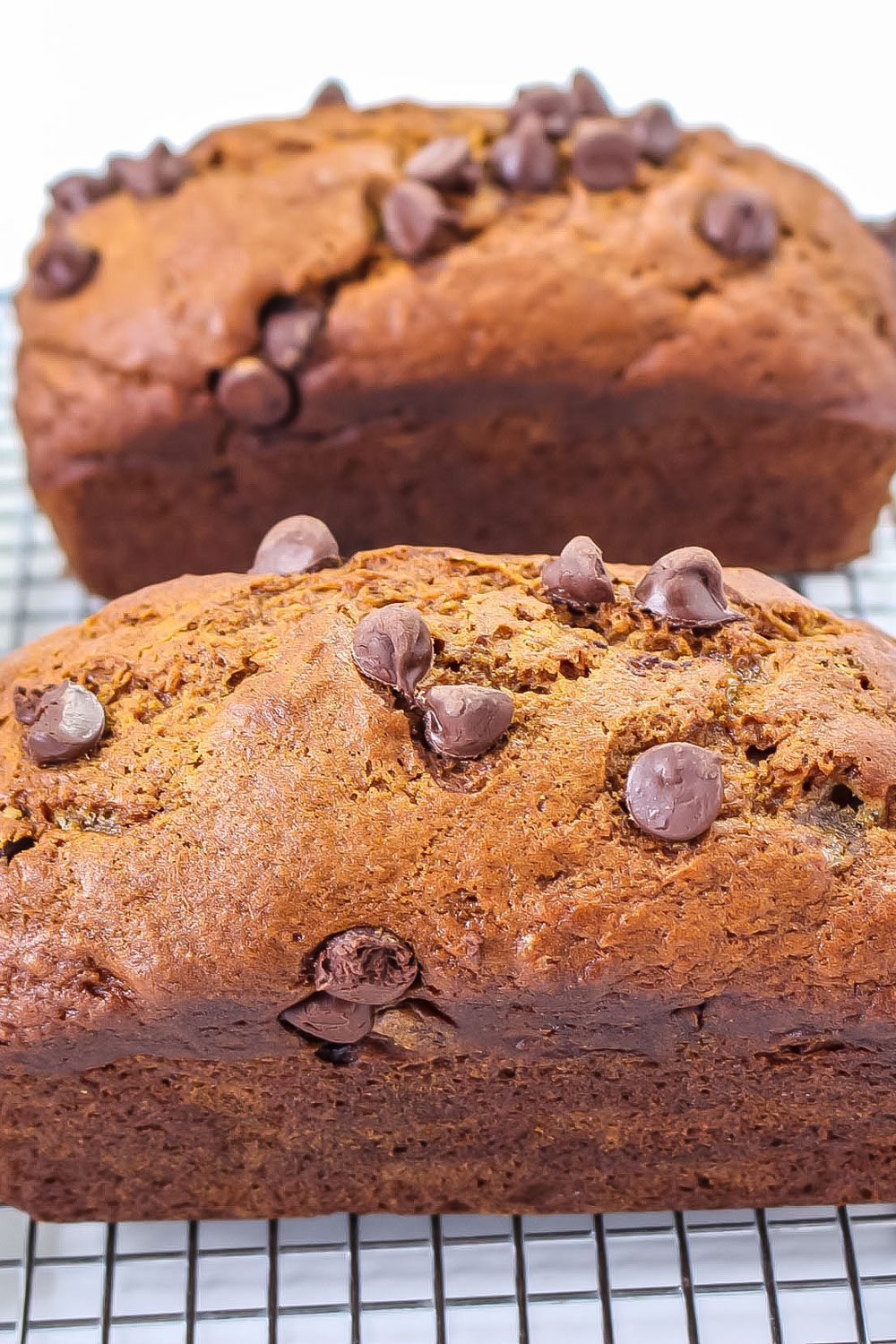 2 loaves of pumpkin chocolate chip bread  cooling on a wire rack