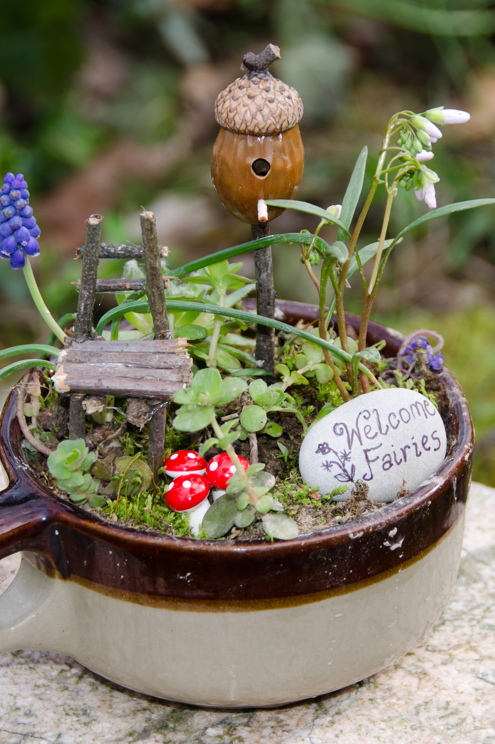 what to do when bored fairy garden