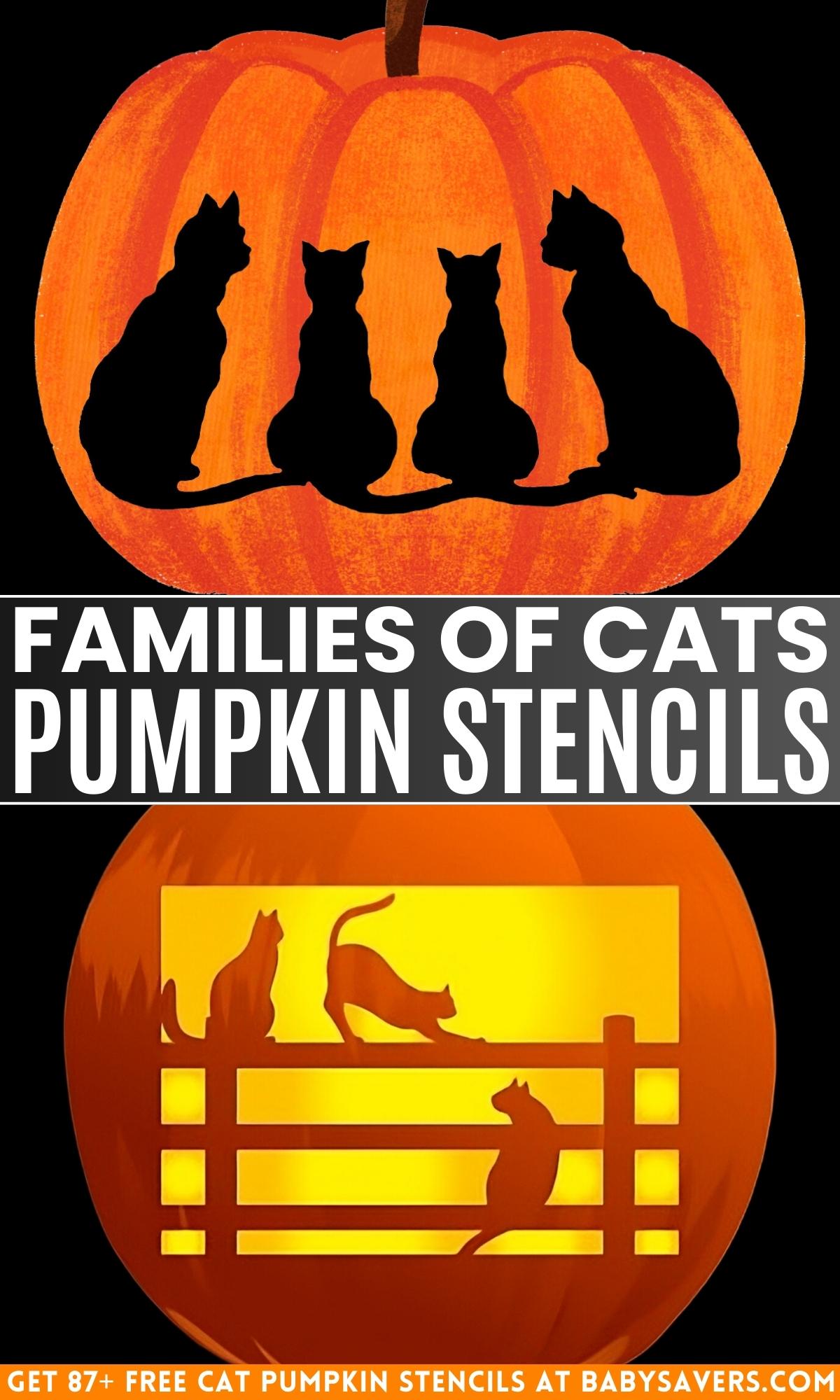 cats pumpkin stencils with families of cats