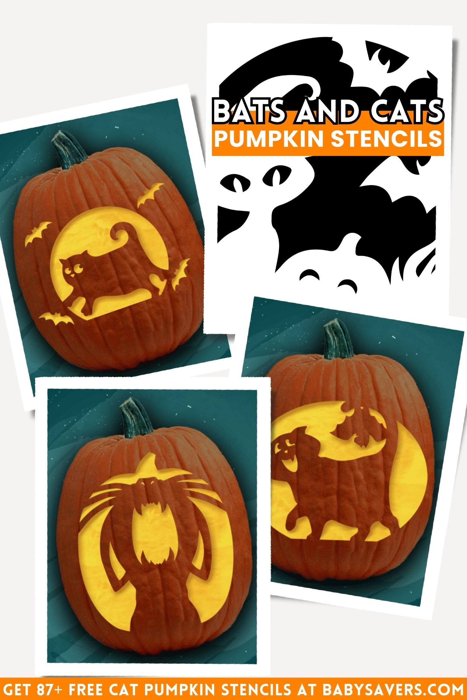 cat pumpkin stencils with bats