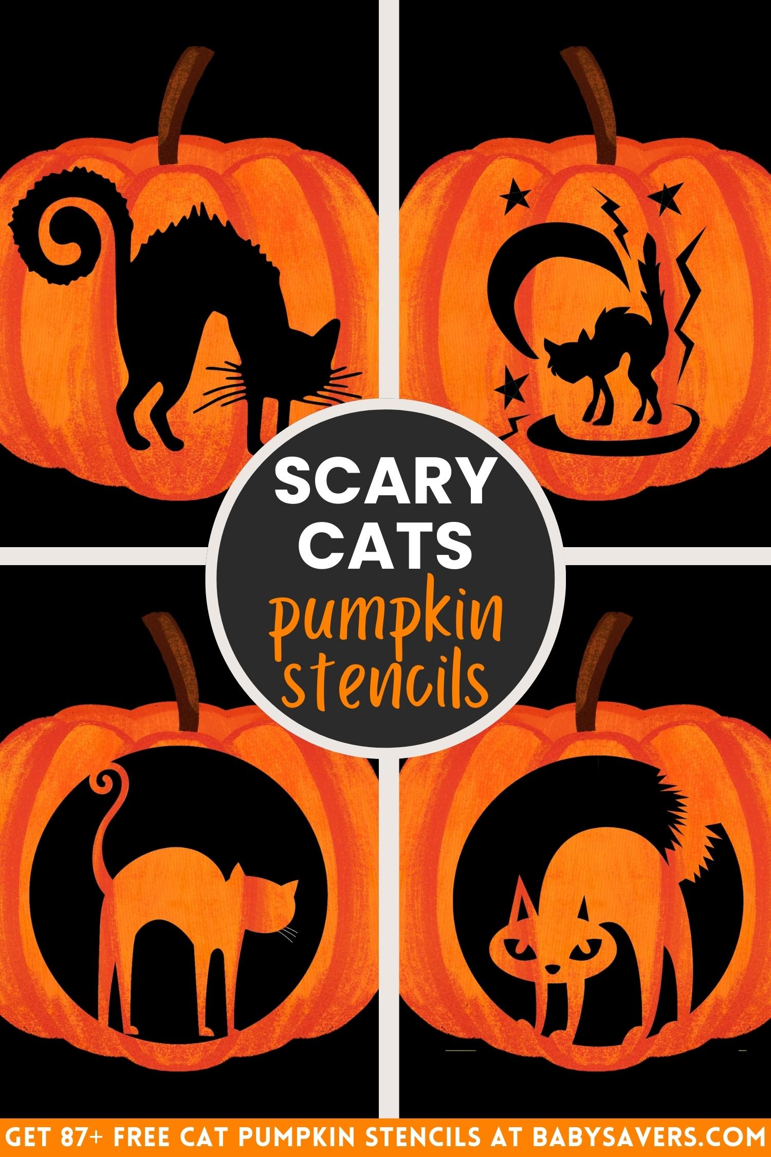 scary cat pumpkin carving stencils