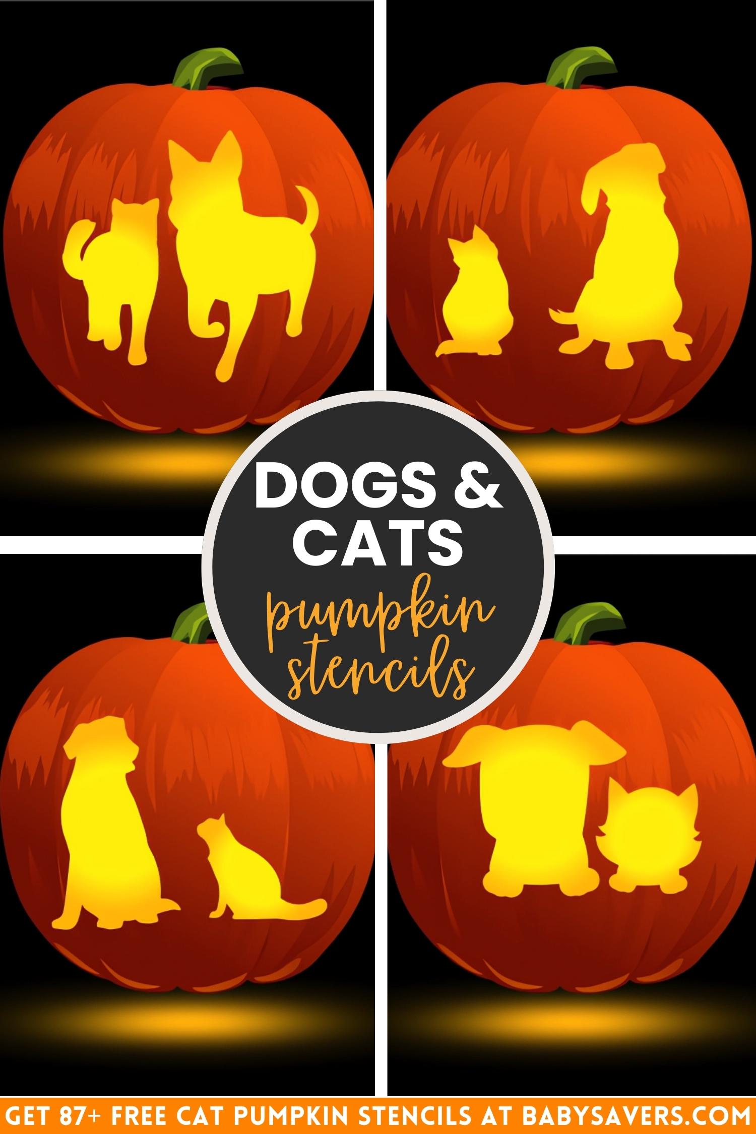 cat pumpkin stencils with printable templates of dogs and cats