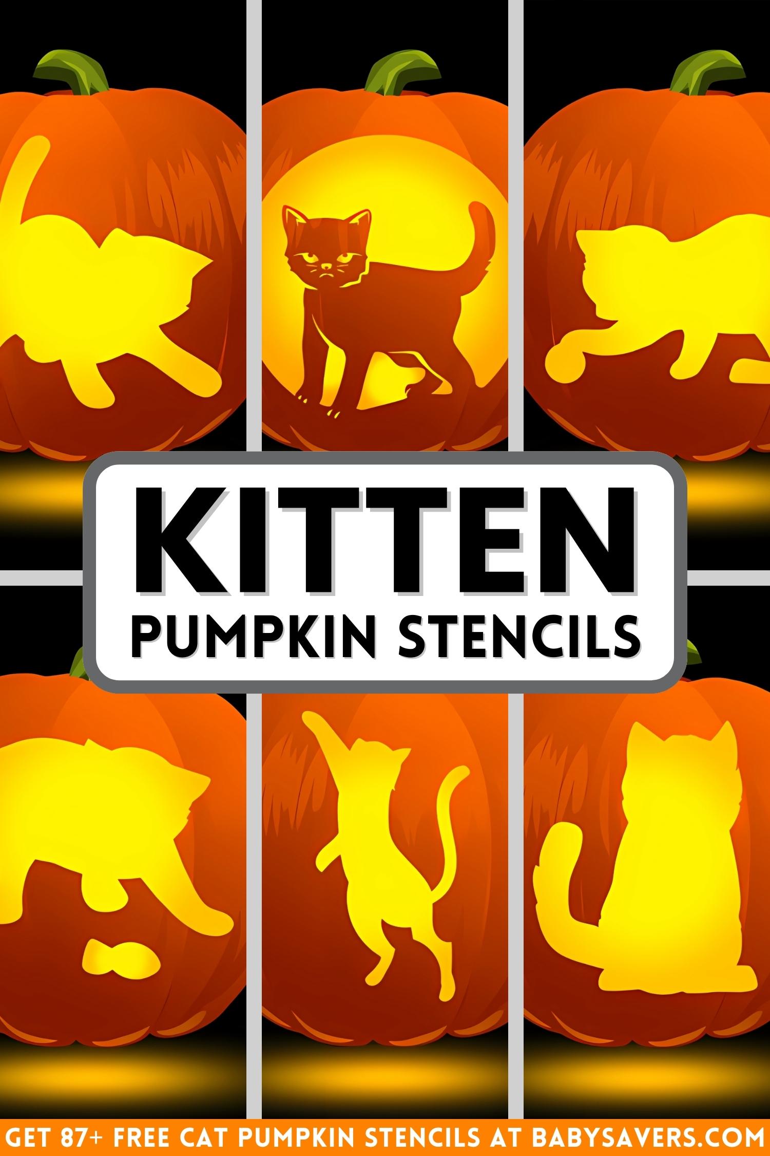 kitten and cat pumpkin carving stencils