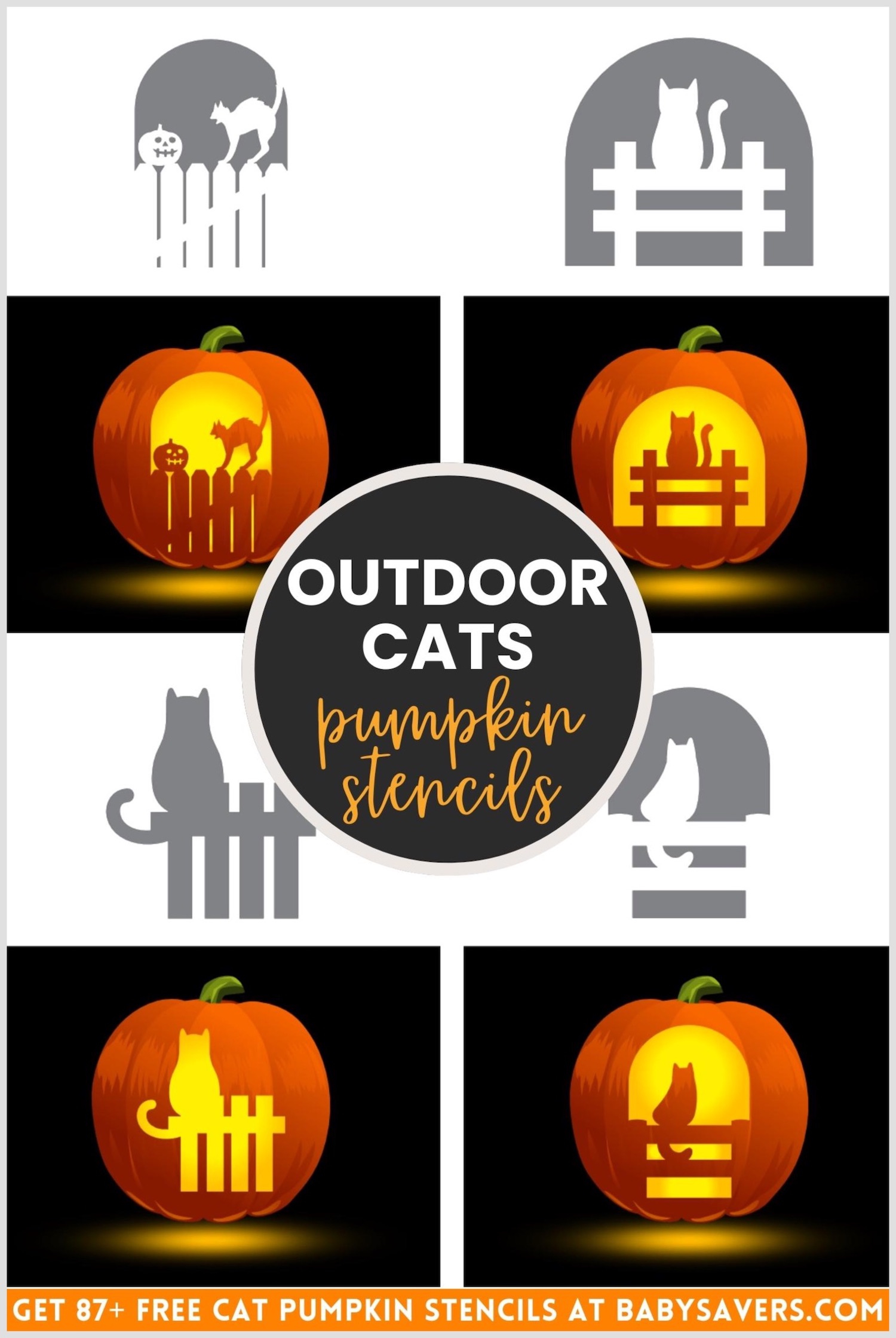 cat pumpkin stencils featuring outdoor cats sitting on fences
