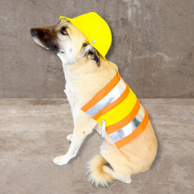 diy dog construction costume