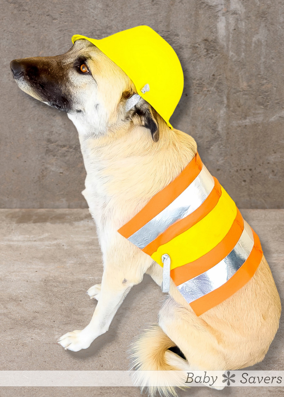 DIY dog construction costume instructions