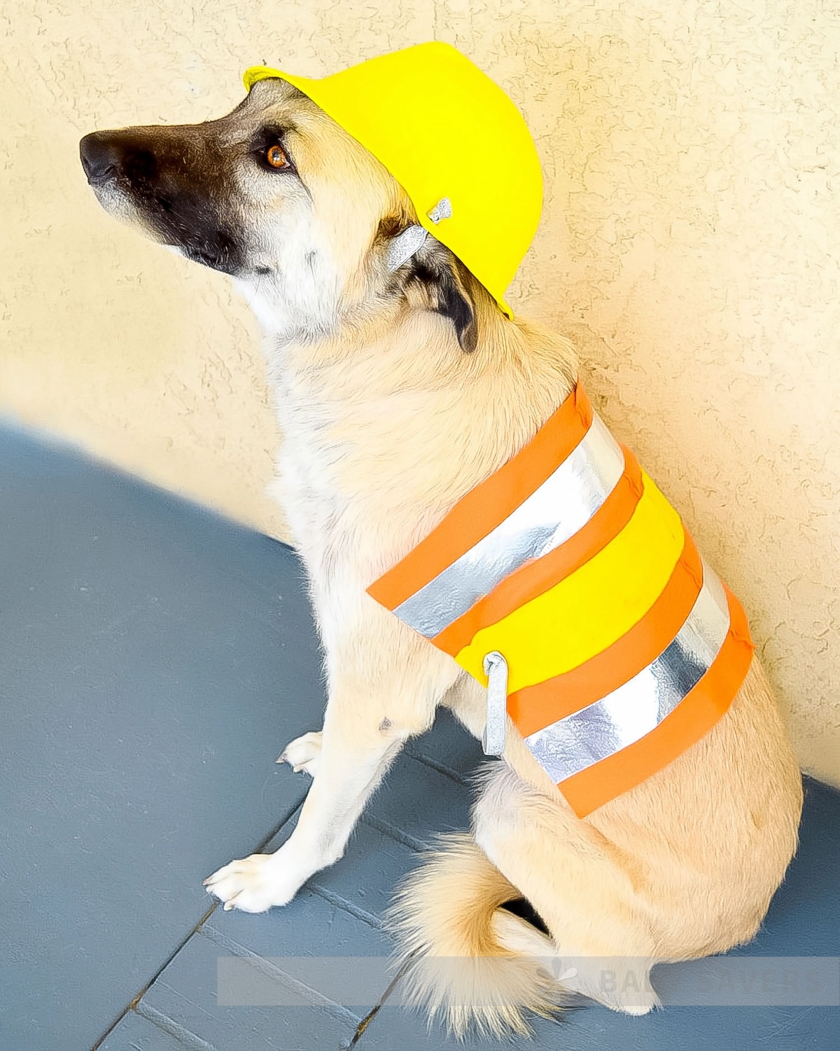 DIY dog construction costume with helmet