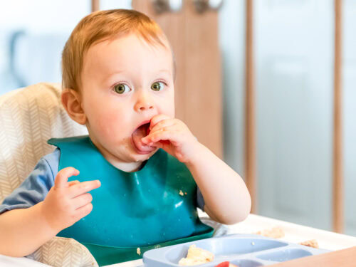 25 Quick and Easy Breakfast Ideas for Picky Toddlers