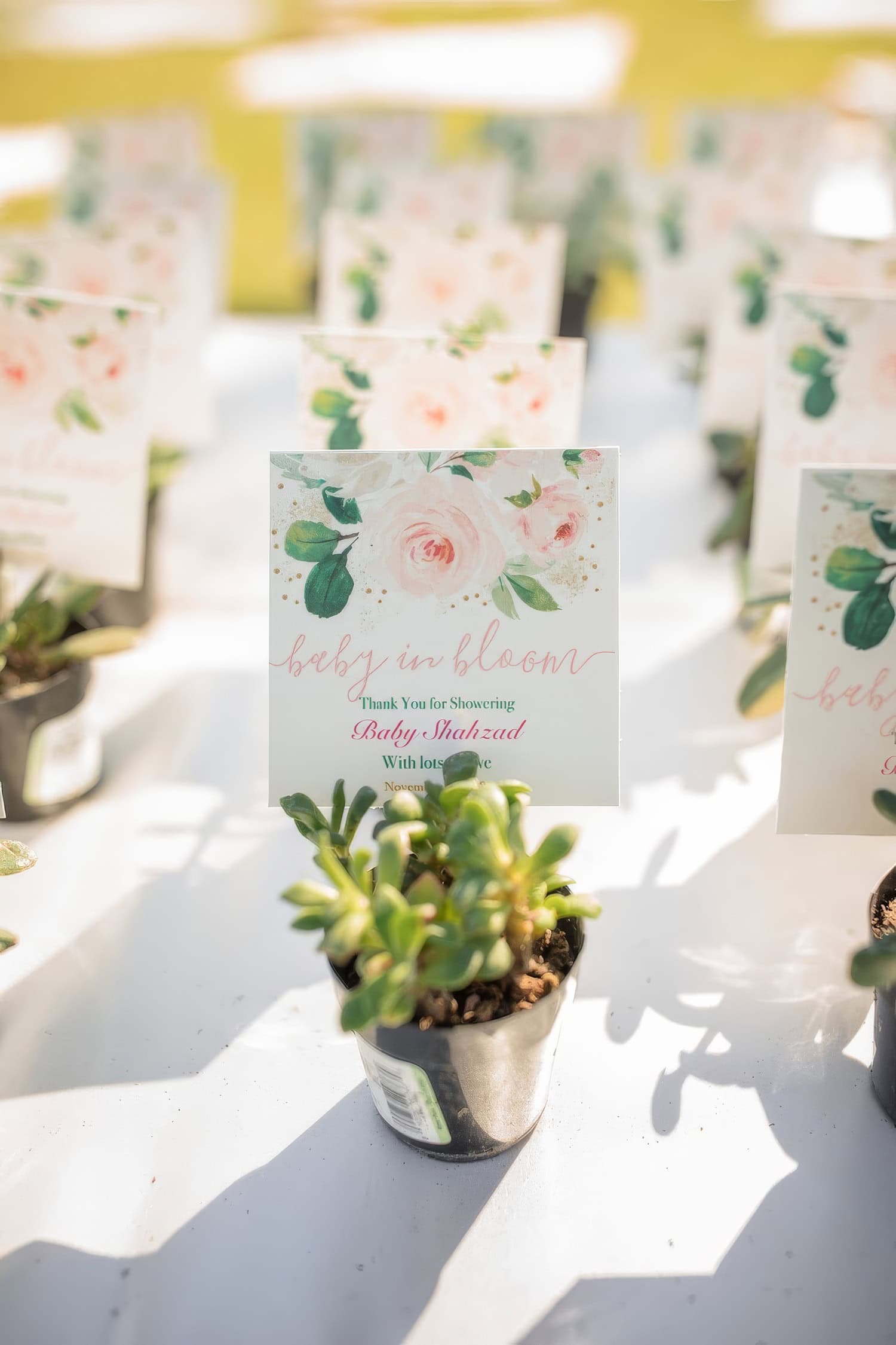 Small potted plants with decorative cards labeled “Baby in Bloom” serve as party favors, each card featuring floral designs and a thank you note, arranged on a table in bright sunlight—a perfect touch for a Boho baby shower.
