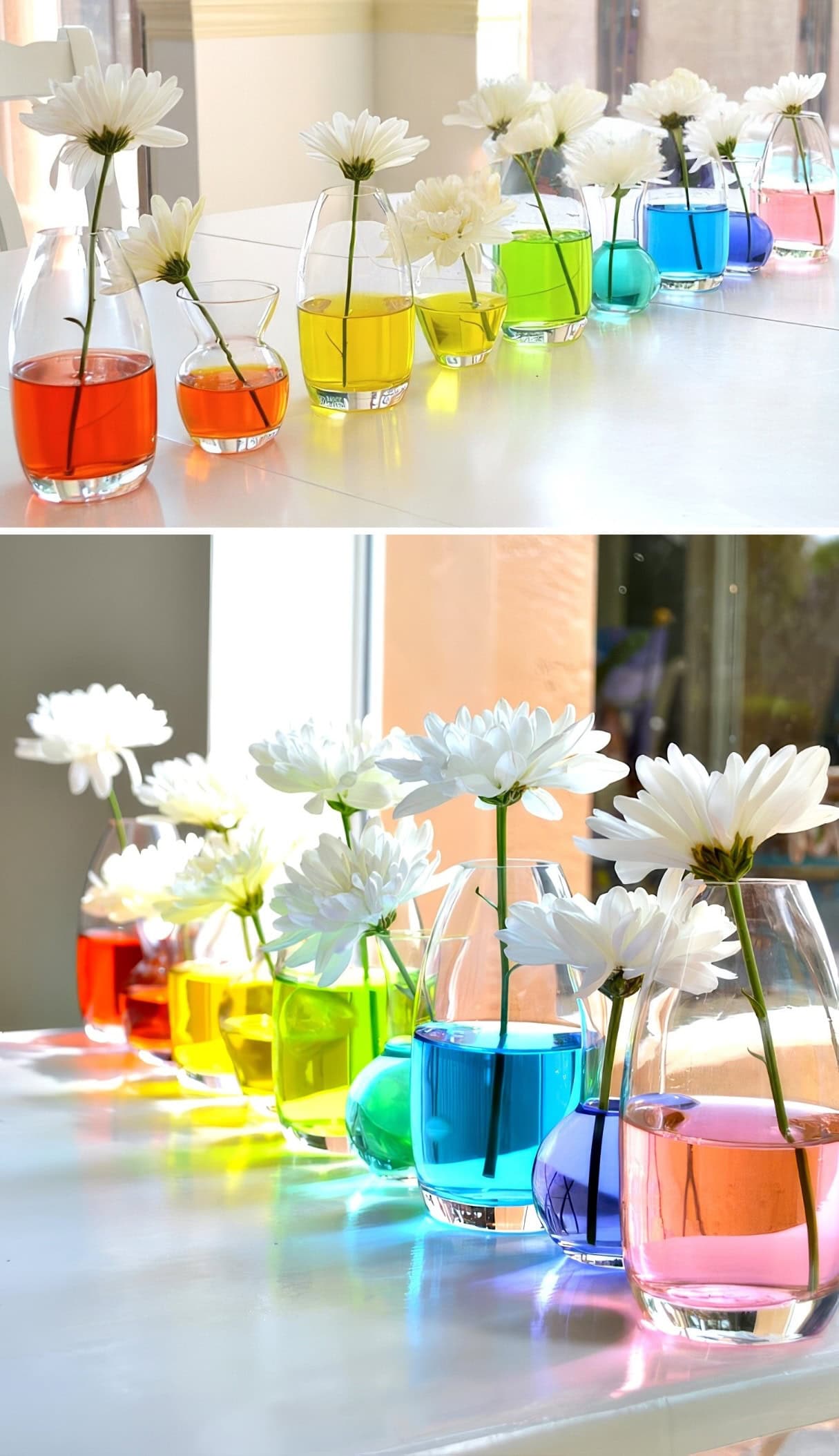 A row of clear vases filled with water in a gradient of rainbow hues, each vase holding a white daisy. Two images display the arrangement from different angles, perfect for a rainbow baby shower. Sunlight shines through the vases, casting colorful reflections on the surface.