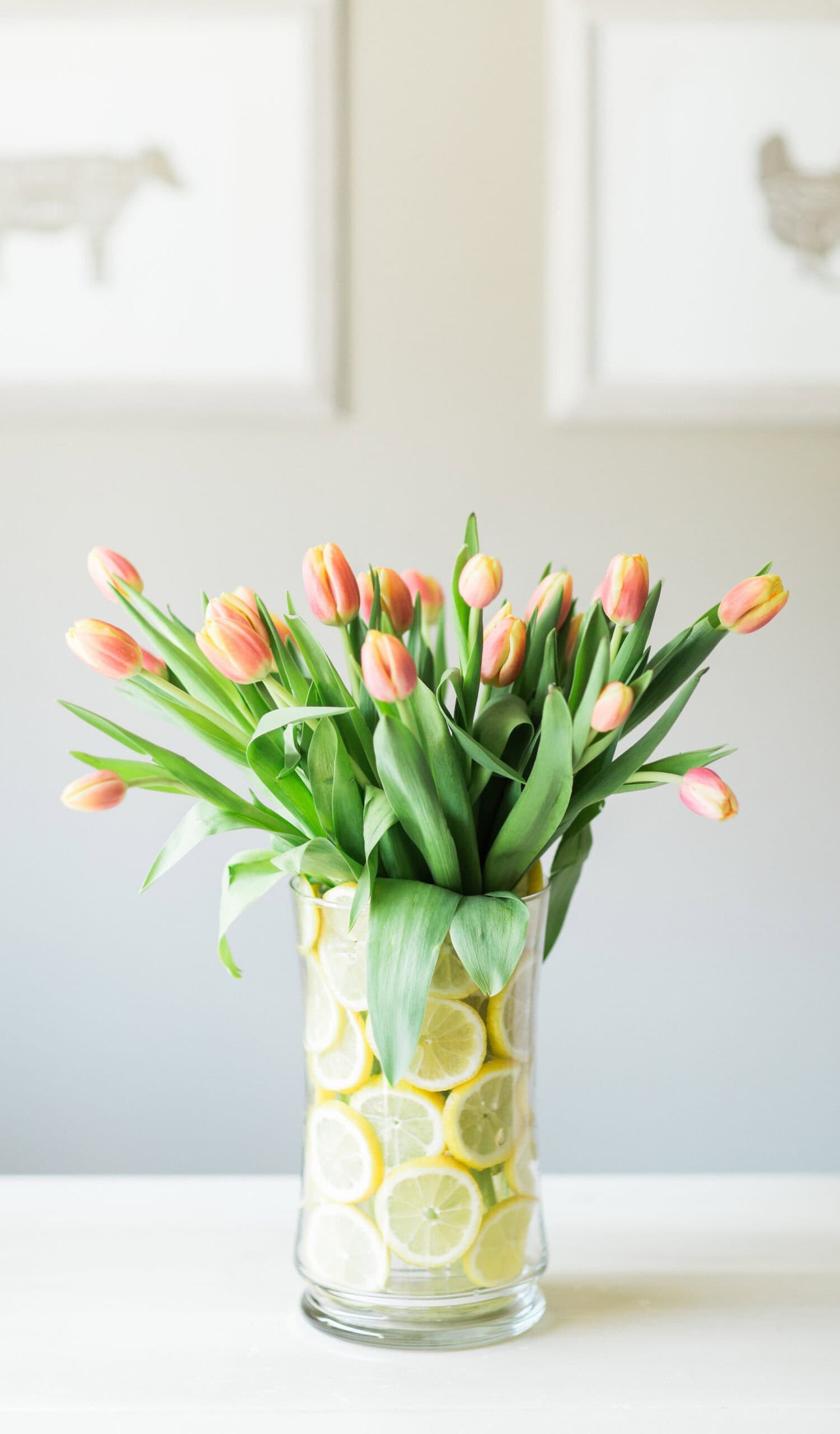 A bouquet of pink tulips in a tall glass vase filled with sliced lemons, perfect as baby shower centerpieces, is set against a light-colored wall adorned with framed pictures.