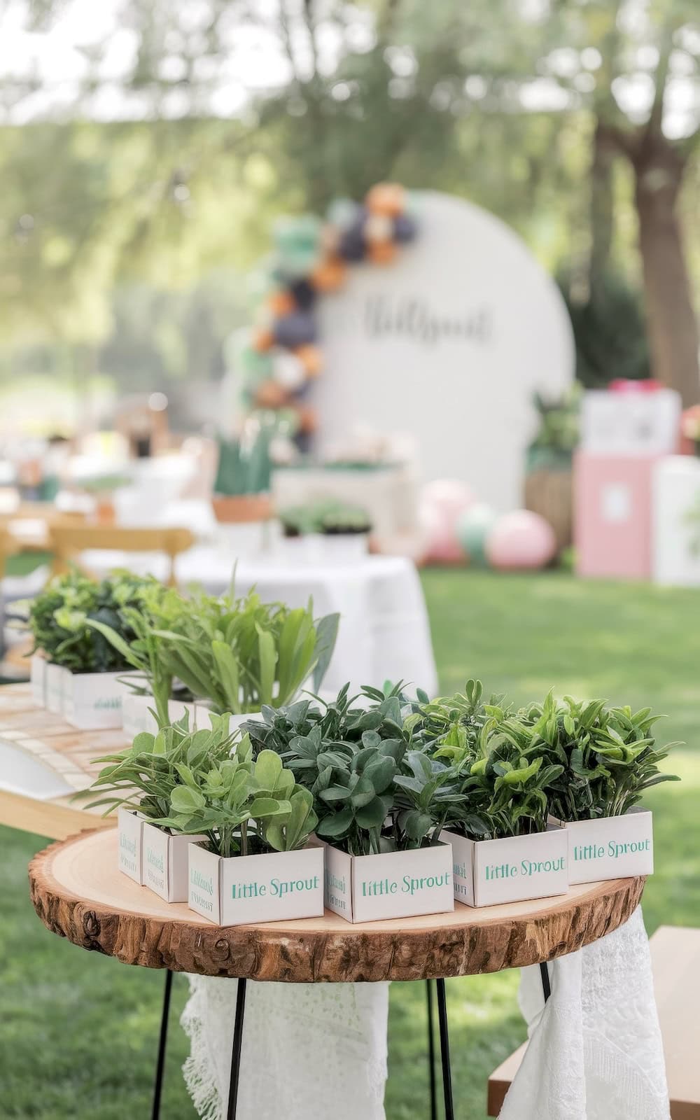 A baby shower setting with the theme Welcome Little Sprout. Potted plants arranged on a round wooden table with a lace cloth capture the essence of spring baby shower themes, set on a lush green lawn. In the background, blurred party decorations include a colorful balloon arch and a personalized backdrop.
