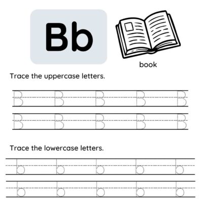 Part of a letter B tracing worksheet featuring a bold uppercase and lowercase "Bb," a drawing of an open book labeled "book," and dotted lines for tracing both uppercase and lowercase letters.