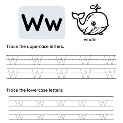 Letter W tracing worksheet featuring uppercase and lowercase Ws, plus a fun whale illustration to help kids practice their alphabet skills.