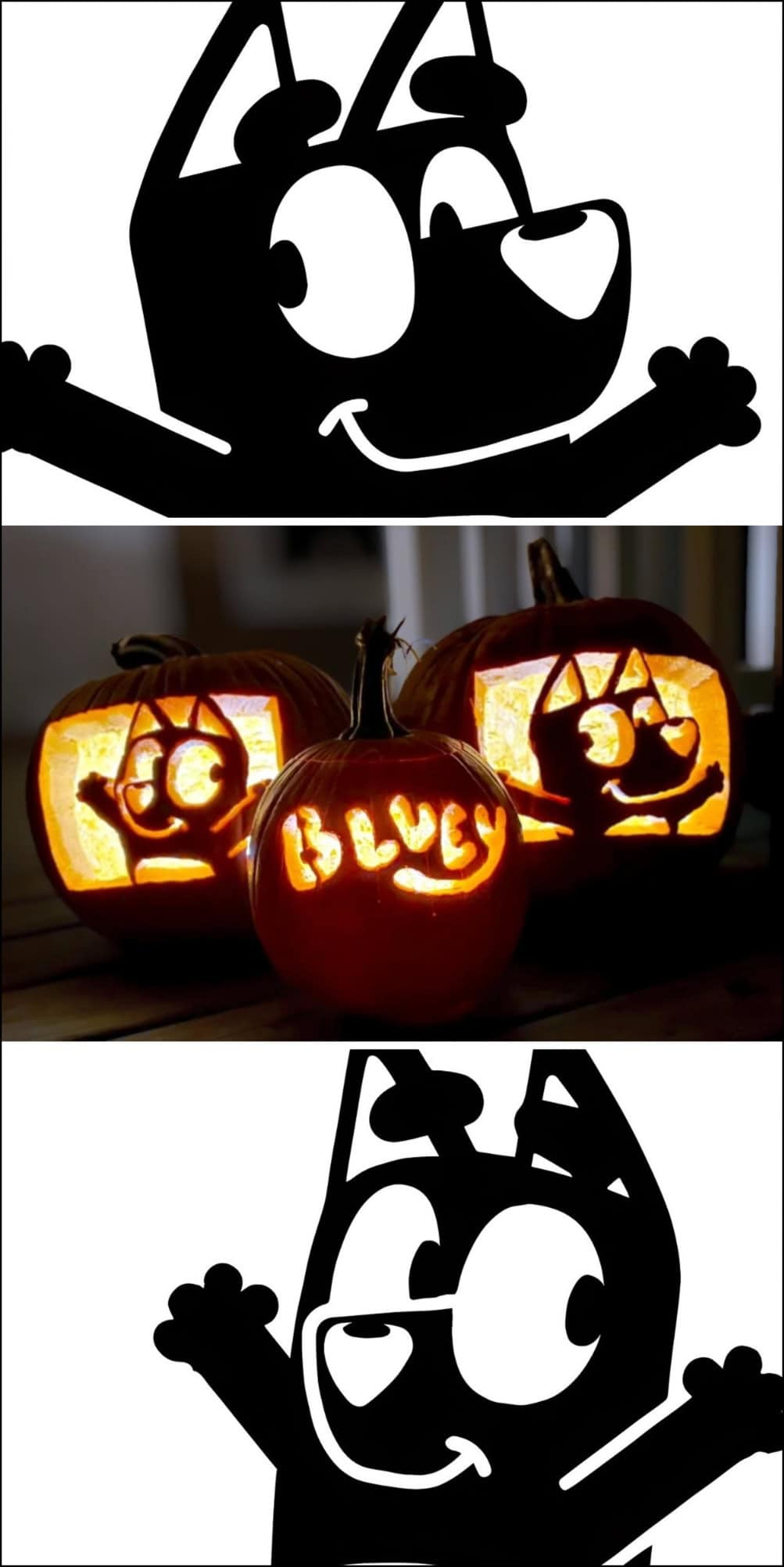 Three pumpkins are carved and lit up, featuring the Bluey cartoon character’s face, Bingo's face and the TV show's logo, crafted with Bluey pumpkin stencils, and the word “BLUEY” glowing in the center pumpkin.