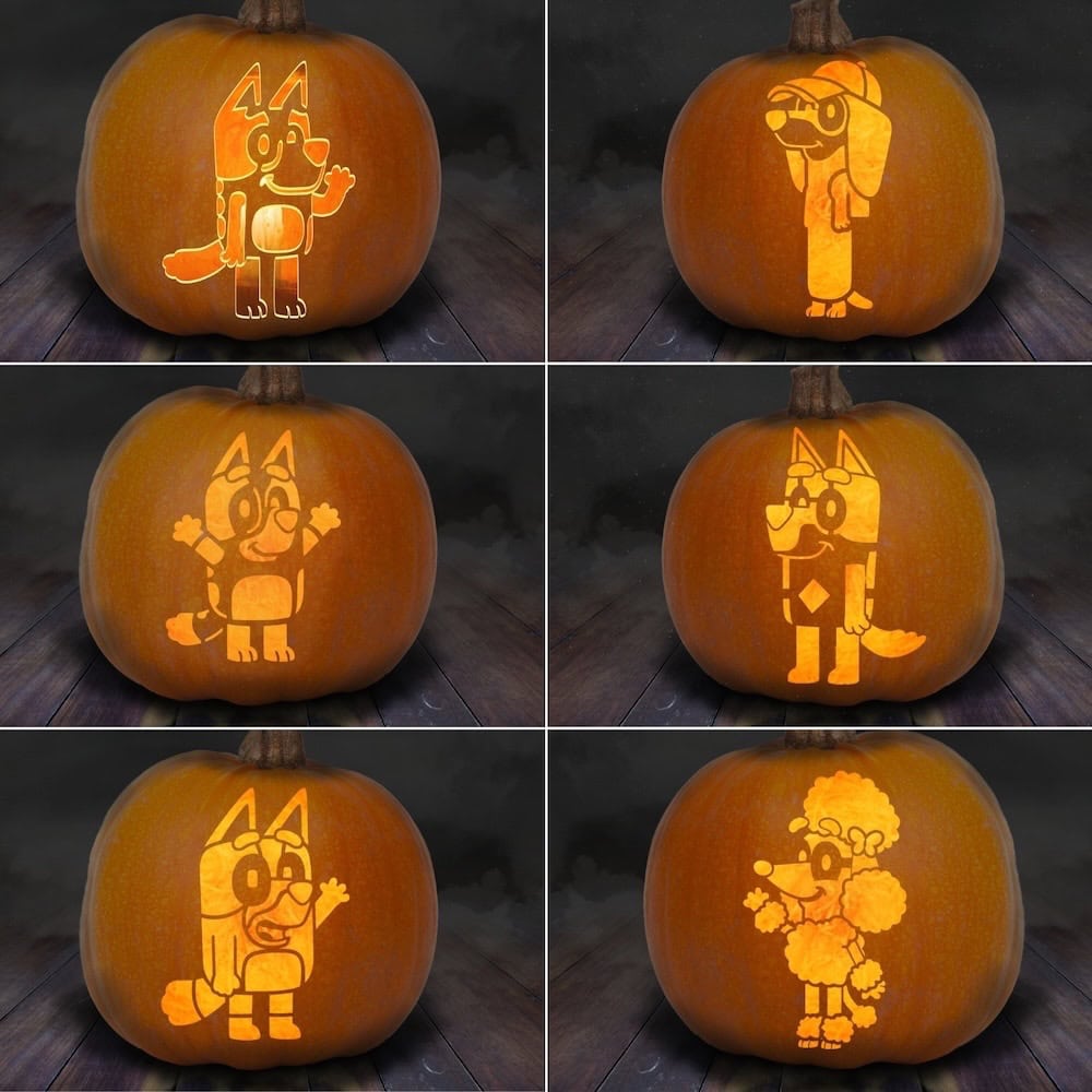 Six Halloween pumpkins carved with Bluey cartoon dog characters in various poses, each glowing from within. The designs feature playful, standing dogs with expressive faces, wearing costumes or holding props—perfect inspiration if you’re searching for Bluey pumpkin stencils or fun Bluey printables to make your own festive creations.