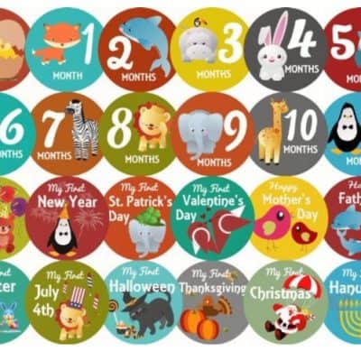 milestone stickers