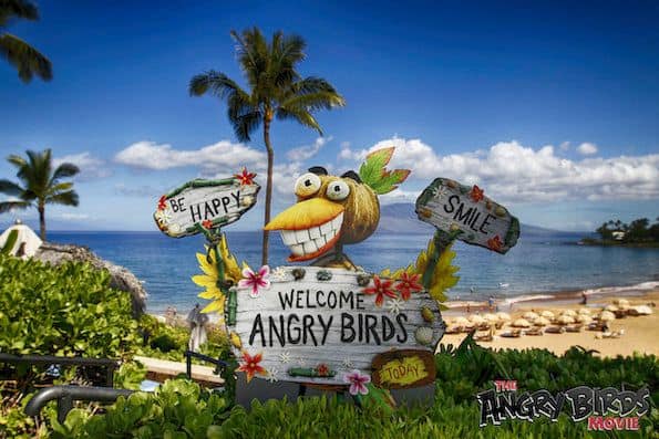 Yoga Four Seasons Resort Maui Angry Birds movie press junket