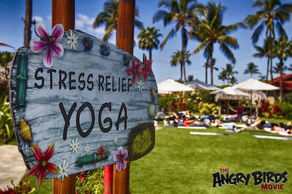 Yoga at The Four Seasons Resort Maui Angry Birds press junket