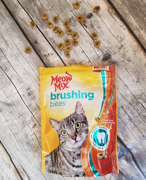 easiest way to keep your cat's teeth clean