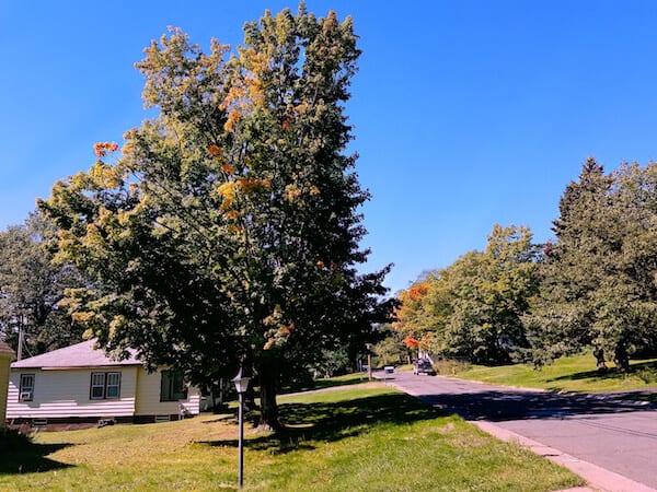 fall colors in minnesota