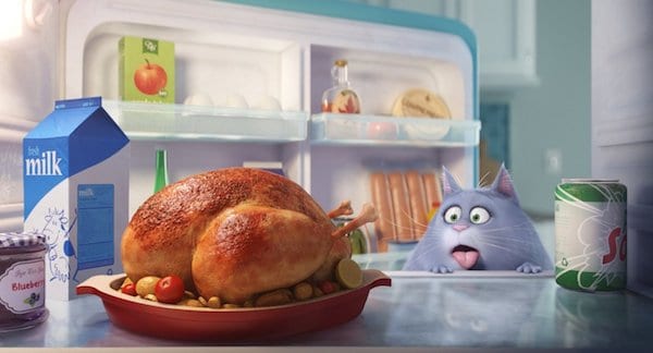 the secret lie of pets turkey cat