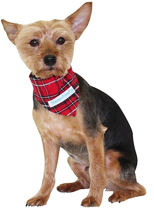 Plaid Thermal Matching Dog Banadna